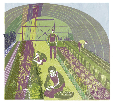 Polytunnel- Gardens Print